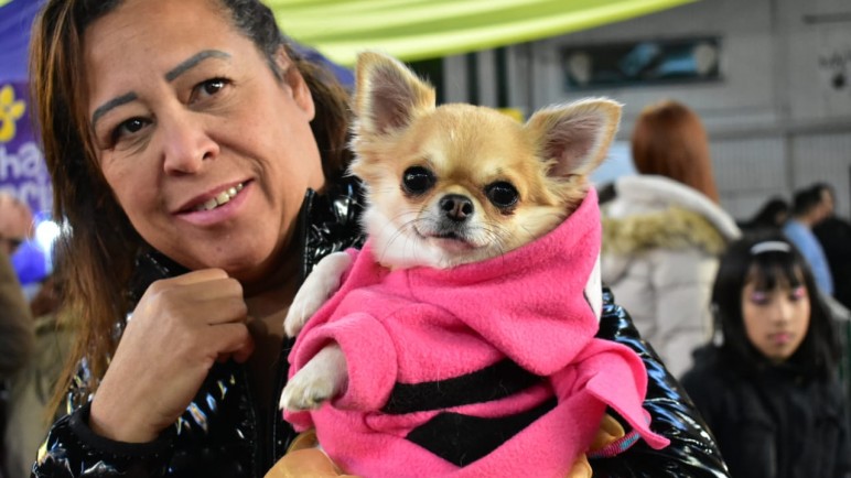 Exitosa séptima edición de la Expo Animal en la Sociedad Rural