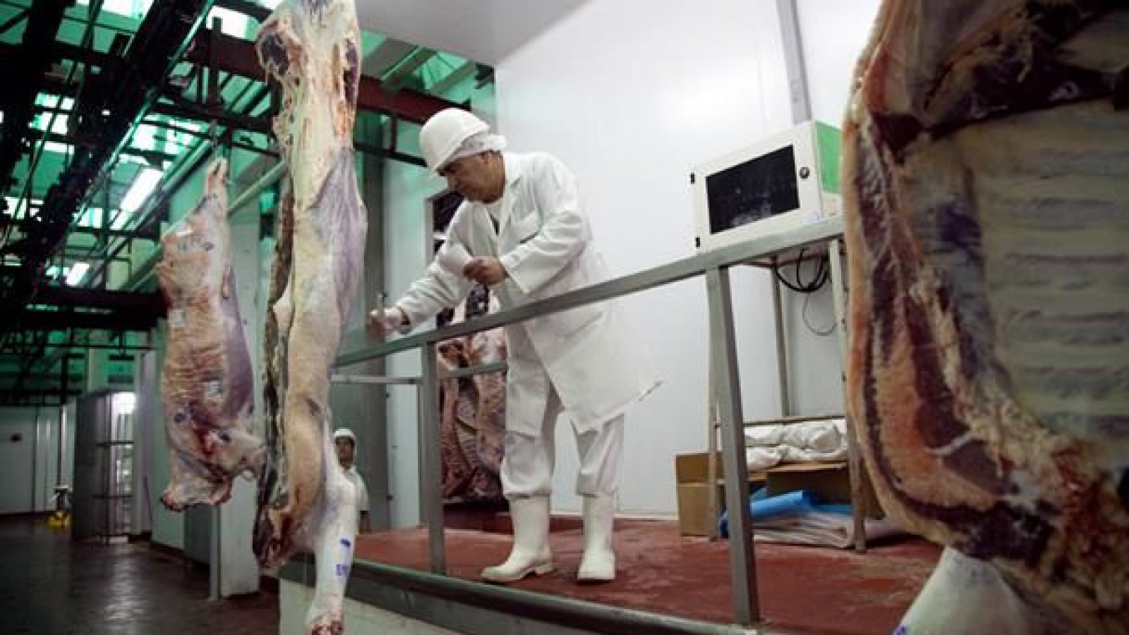 Clausuran plantas y detectan faena de animales por debajo del peso mínimo