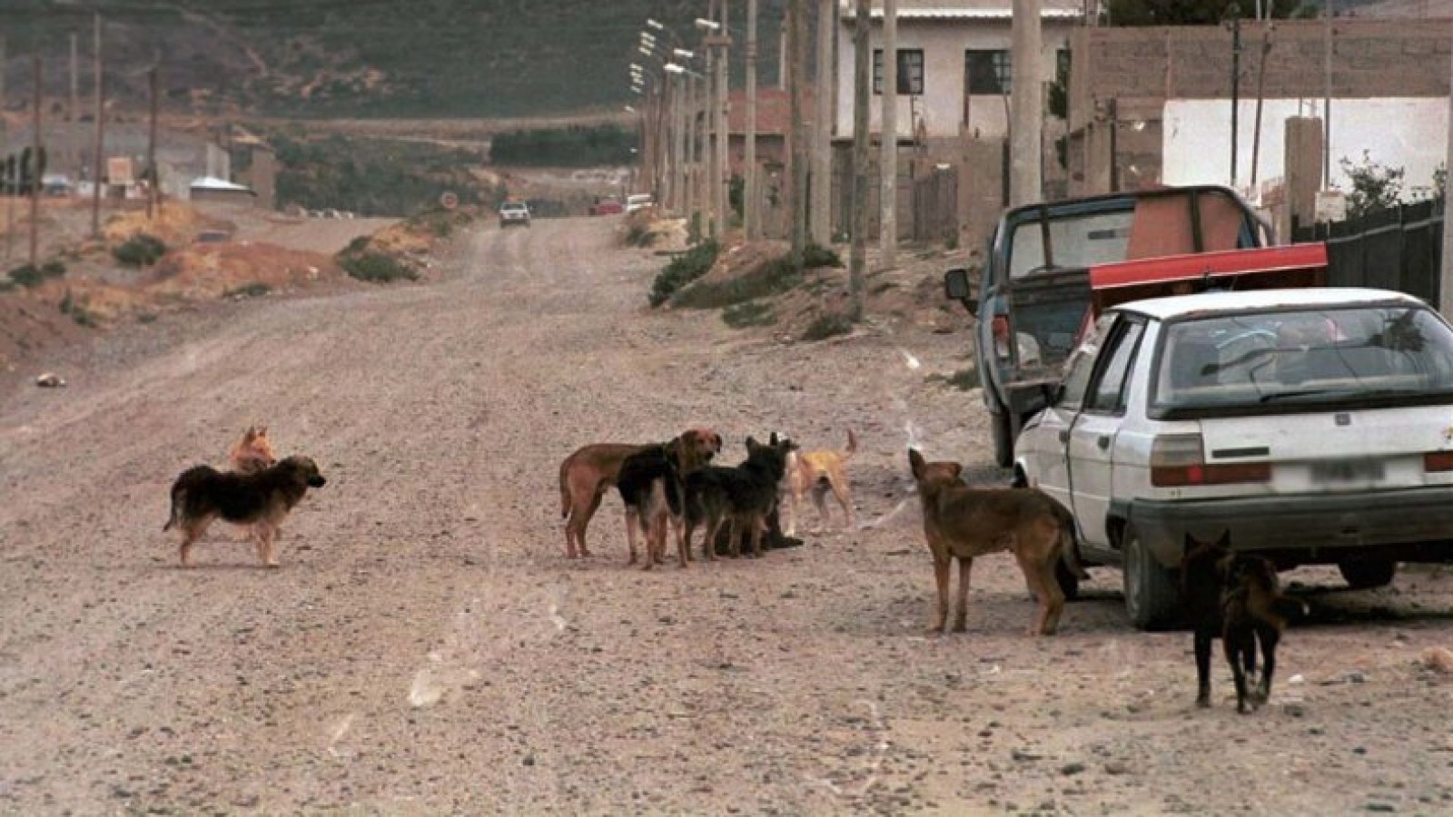 Al hombre atacado por perros tendrán que aplicarle injertos