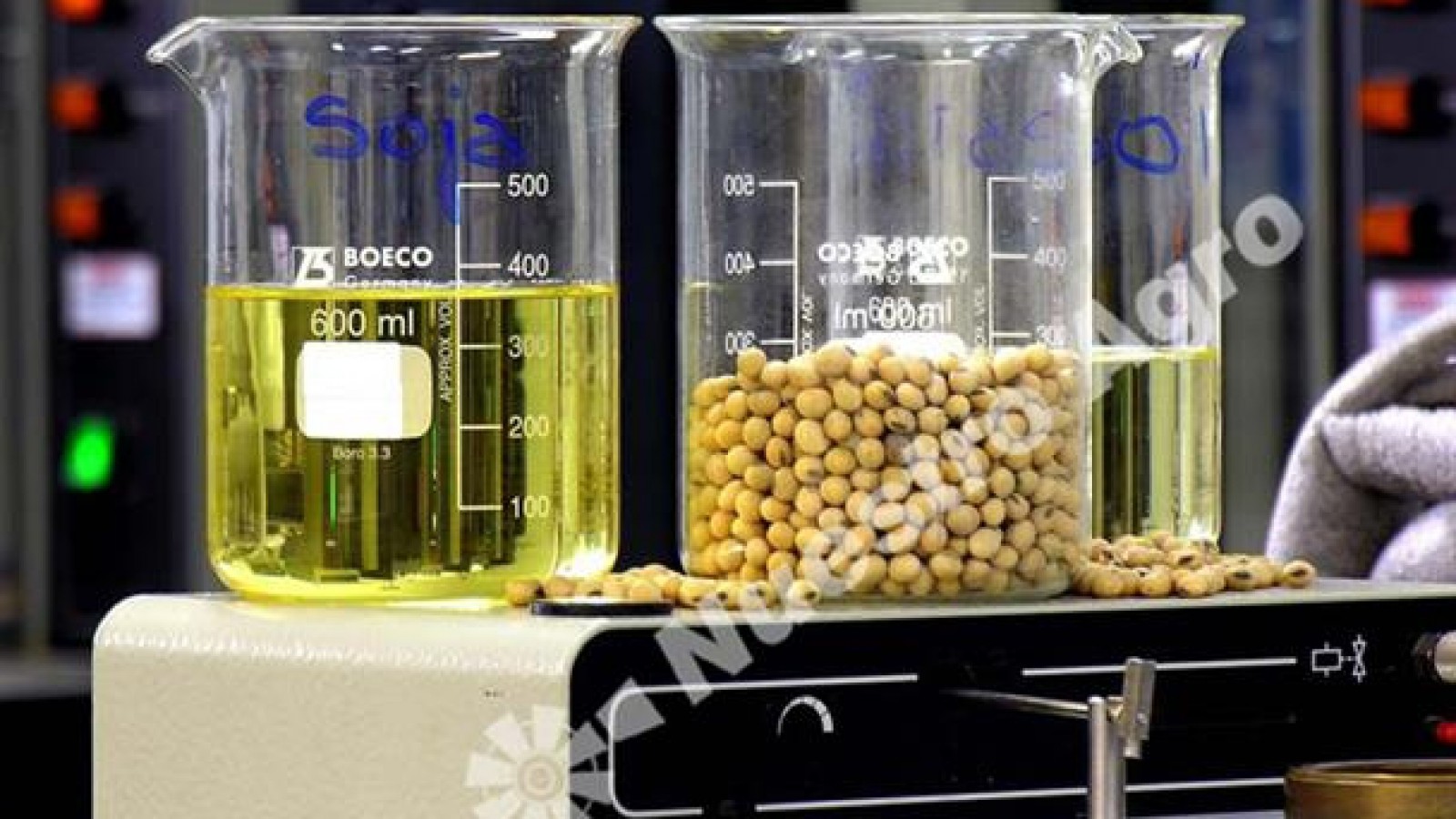 Cancillería Argentina anunció la reapertura del mercado de biodiesel de la Unión Europea