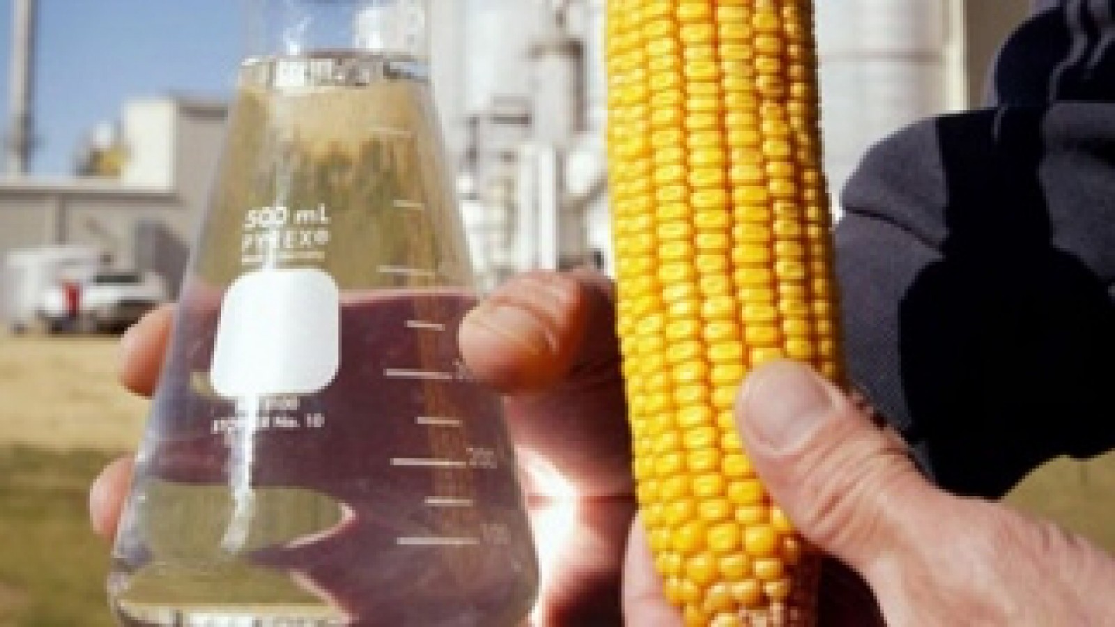 Aumenta la producción del bioetanol de maíz