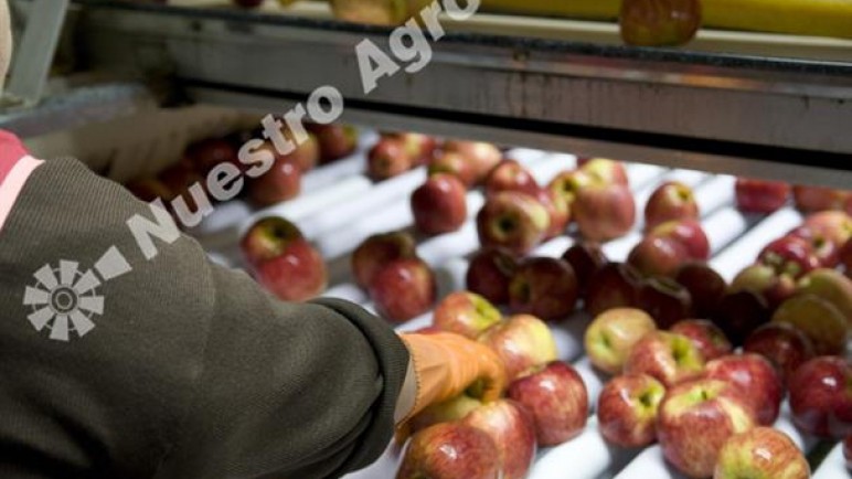 Agroindustria entrega $70 millones a productores de peras y manzanas de Neuquén