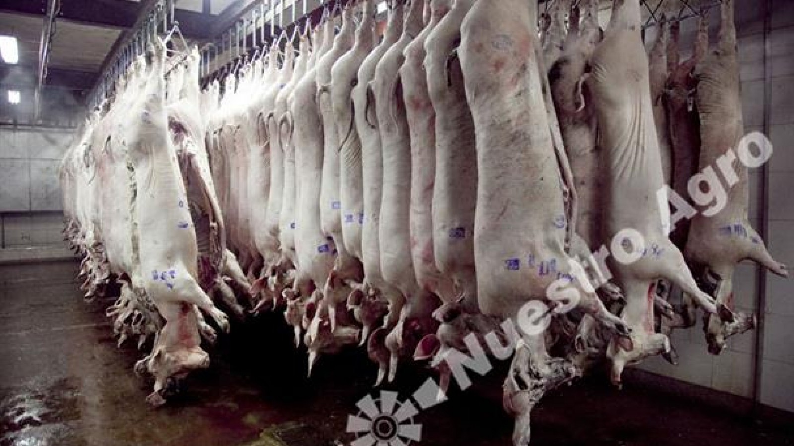 El Gobierno aumentó los reintegros a las exportaciones de la cadena porcina