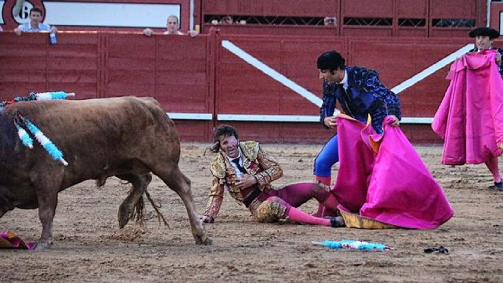 España: un toro le arrancó parte del cuero cabelludo a un torero en medio de una corrida