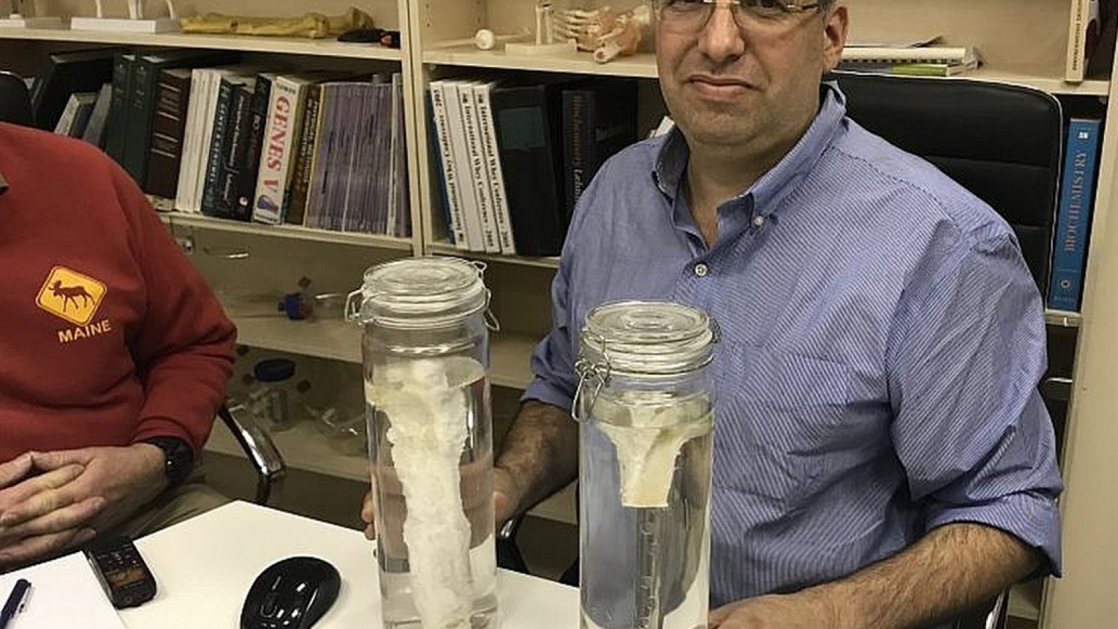 Un avance biotecnológico logra crear un sustituto óseo para regenerar huesos