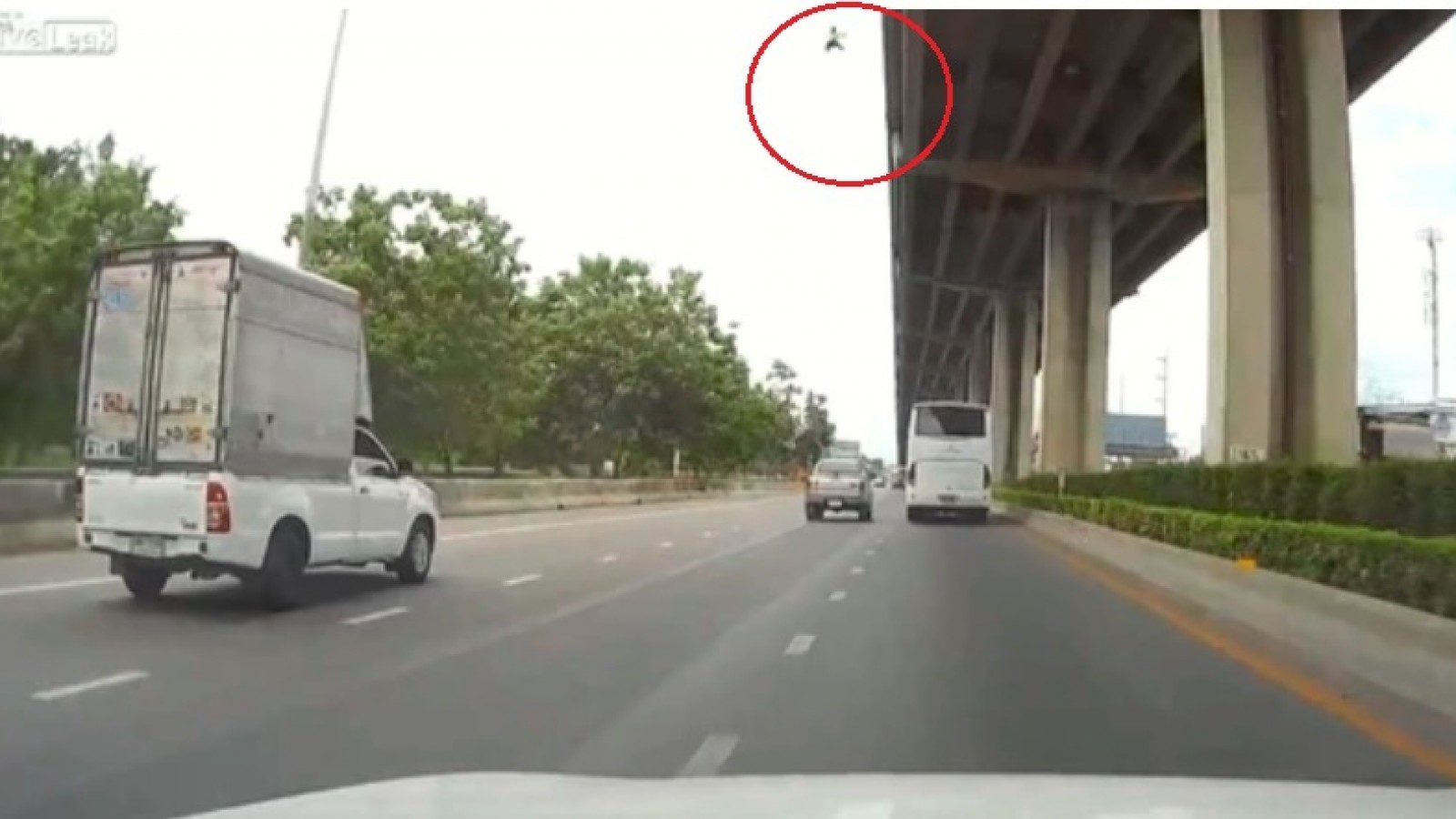 Se bajó del auto en una autopista y lo atropellaron: salió volando y cayó al vacío