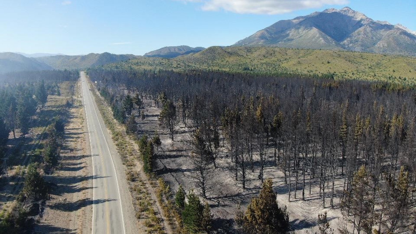 Epuyén: 550 hectáreas afectadas por el fuego y el viento complica las tareas