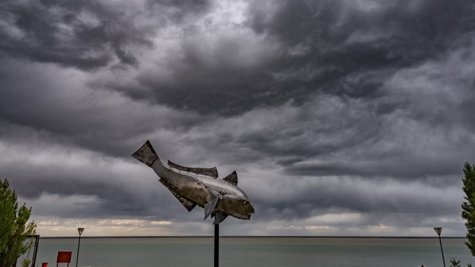 En Puerto Santa Cruz testean en redes sociales si hacer o no la Fiesta del Róbalo