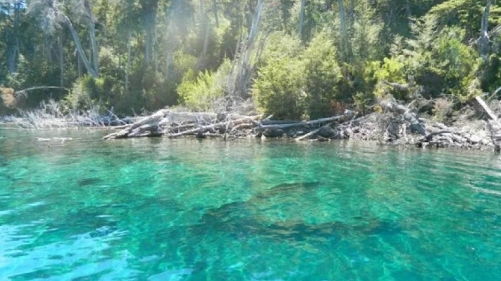 Advierten sobre la llegada de un posible tsunami en Neuquén