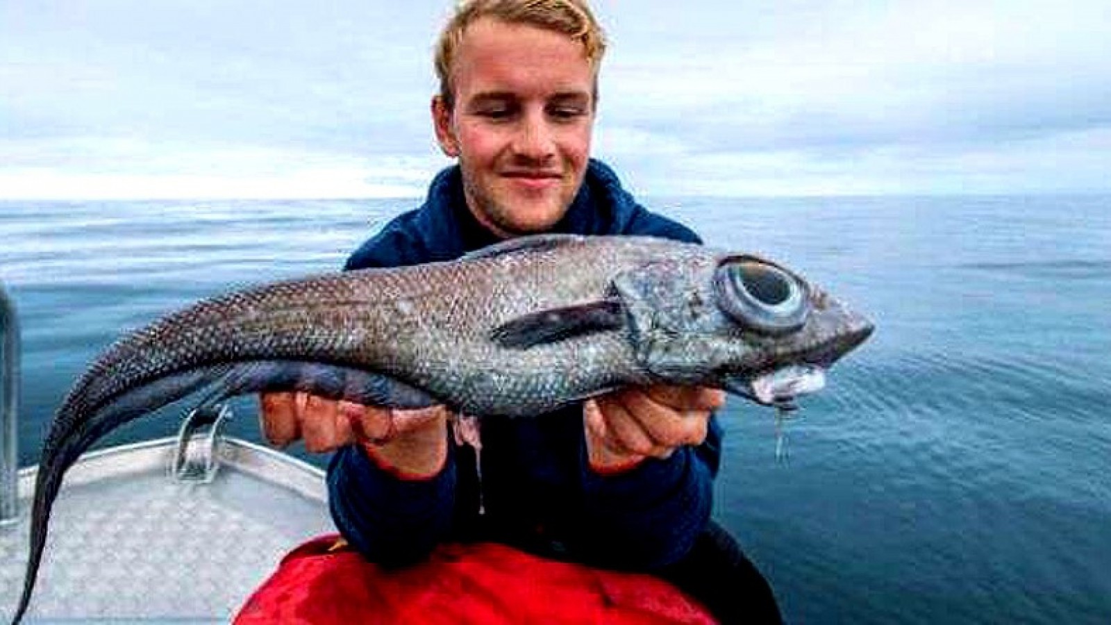 El ojo era así de grande: fue a pescar y sacó un extraño pez