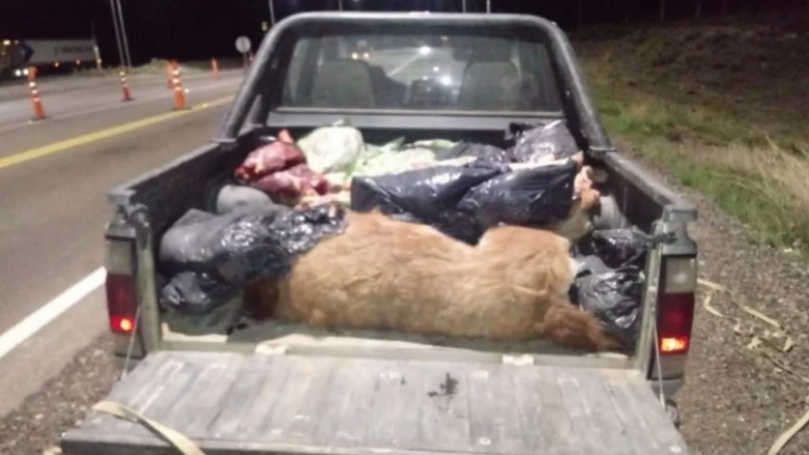 Secuestraron carne de guanaco sobre la Ruta 3