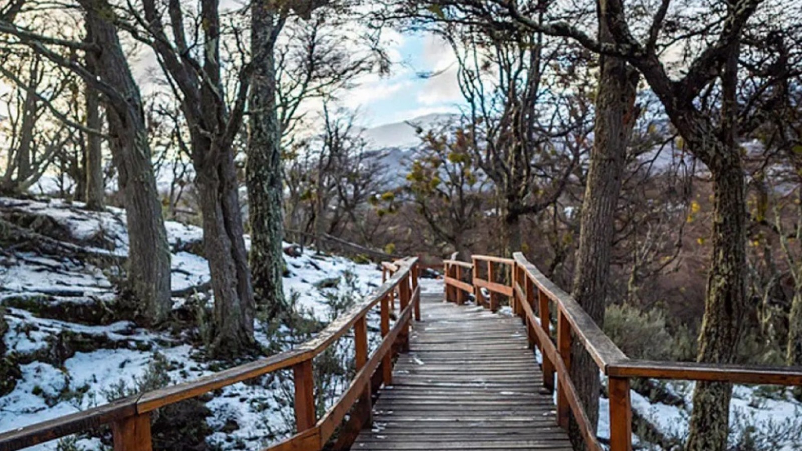 Lanzaron app "Argentina Natural" para conocer los parques nacionales
