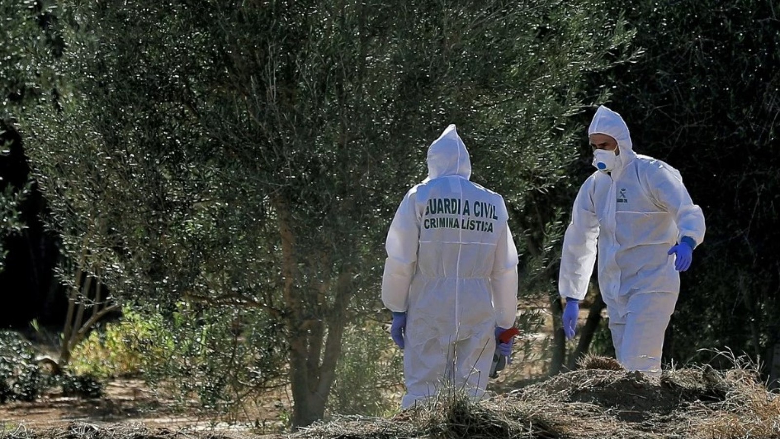 Le pidió a su amiga que guarde una caja con juguetes sexuales pero era la cabeza de su pareja