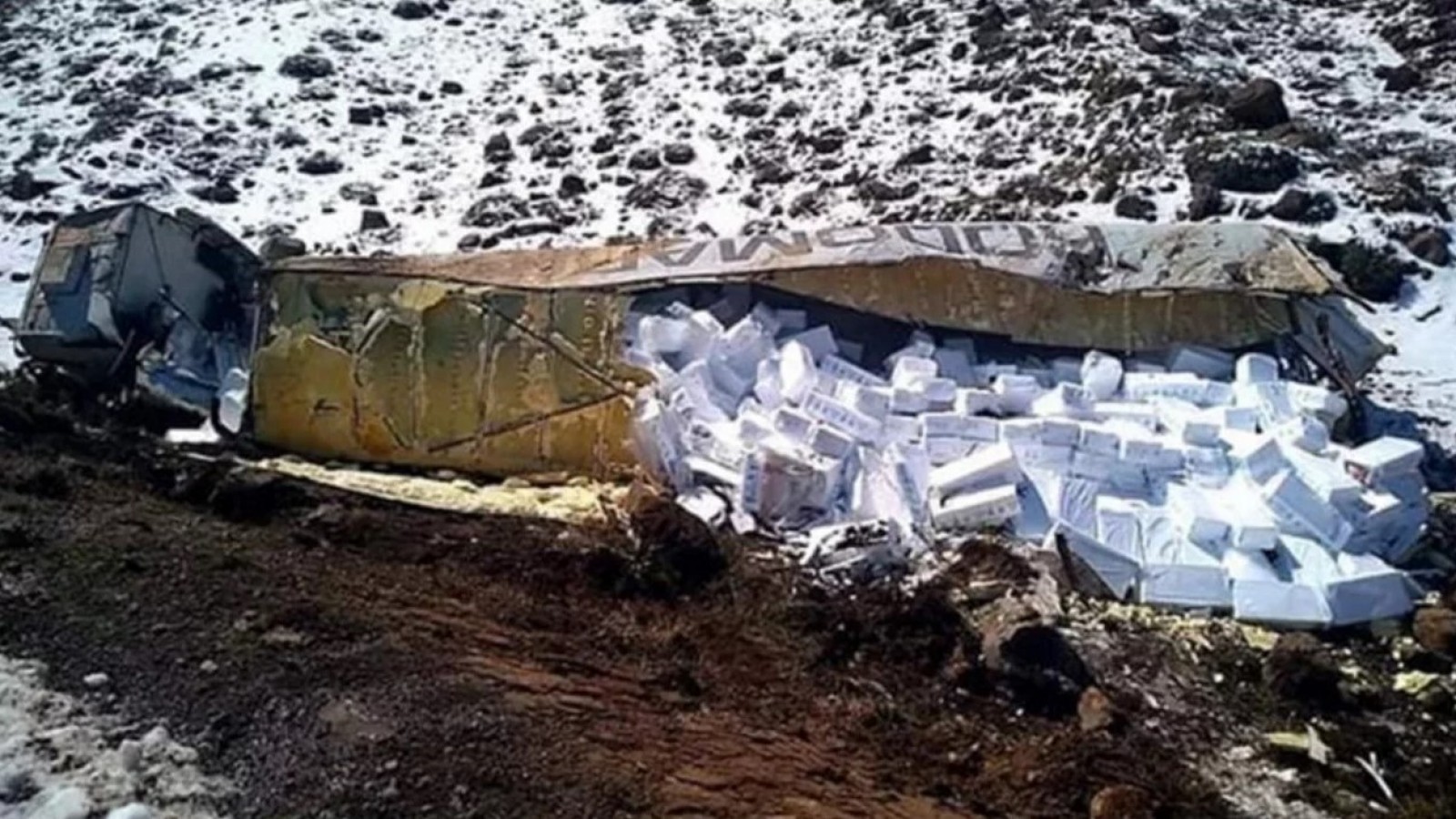 Volcó un camión con salmones, vecinos lo saquearon y ahora serán investigados