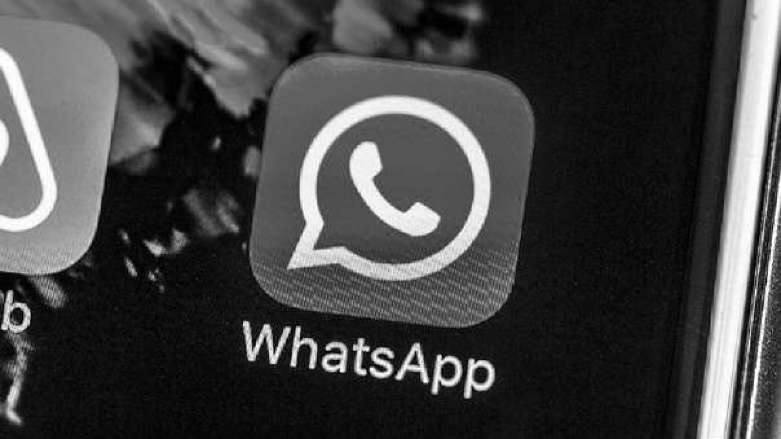 ¡Cuidado! Con solo un GIF de WhatsApp pueden robarte toda tu información personal y usar tu cámara