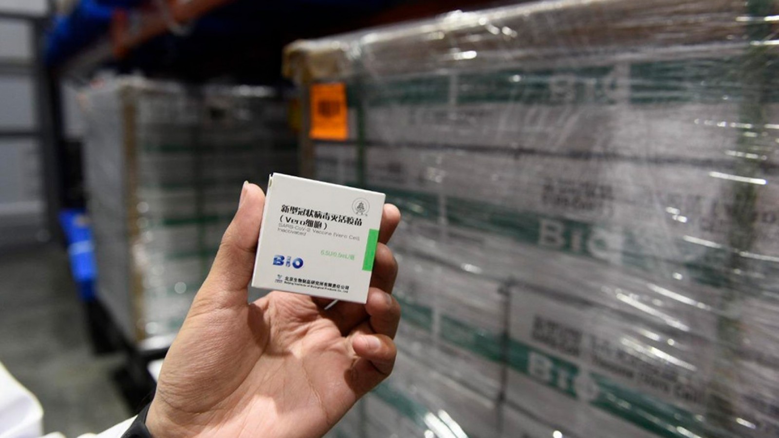 El 95% de las personas vacunadas con Sinopharm desarrolló anticuerpos