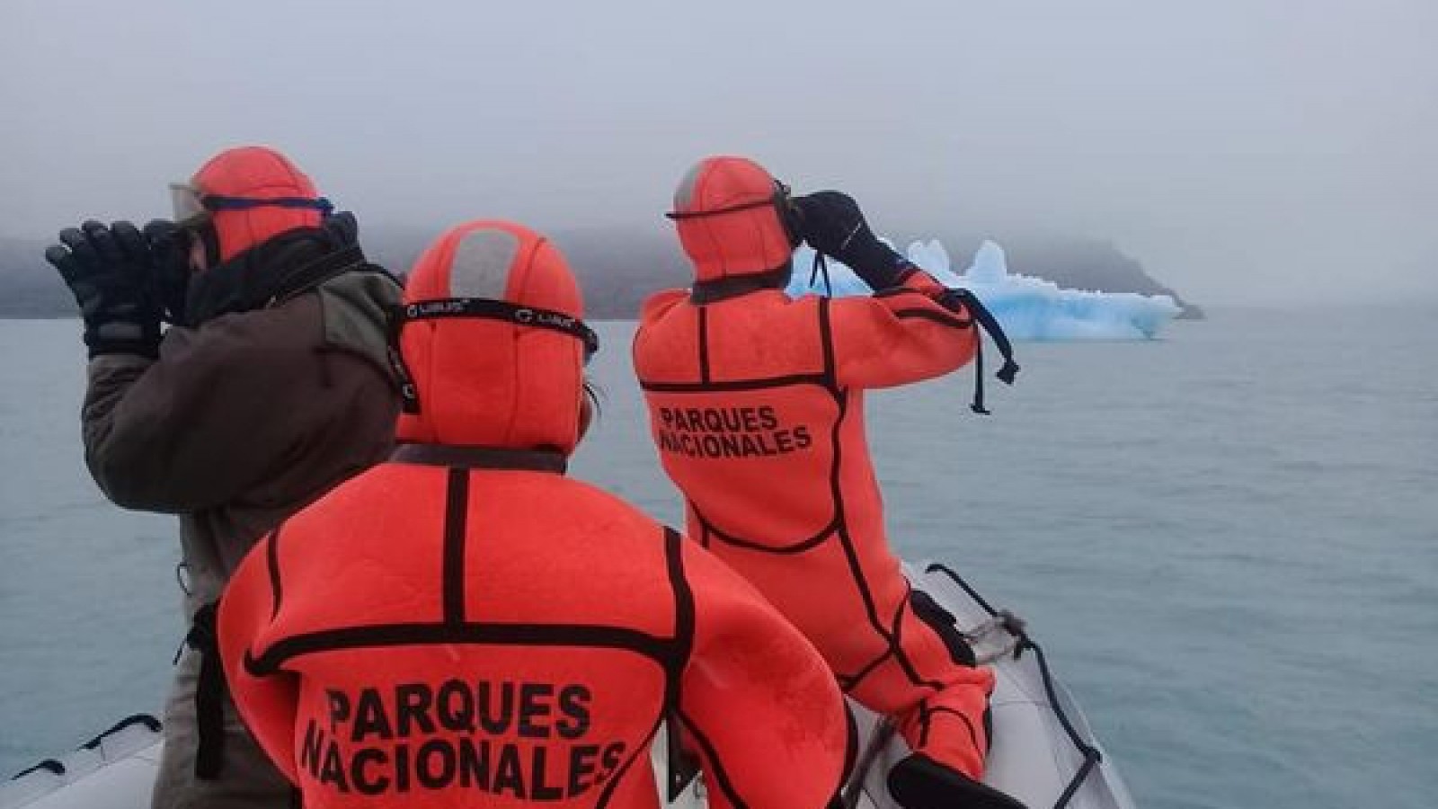 El puma visto sobre un témpano lo abandonó por sus propios medios