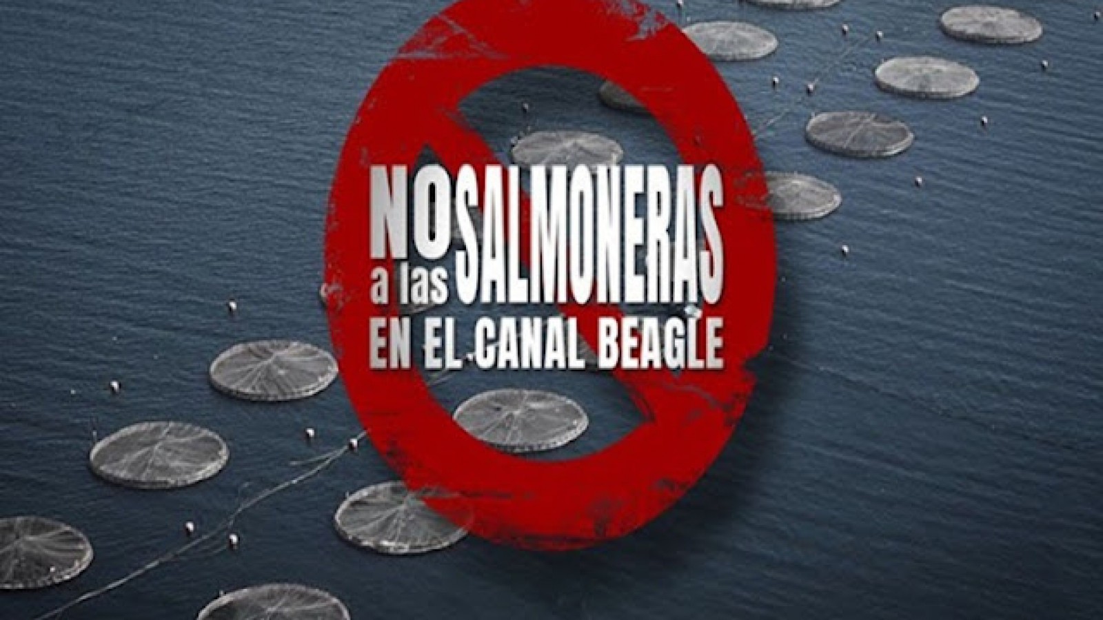 Promulgan la Ley que limita la salmonicultura a gran escala en Tierra del Fuego