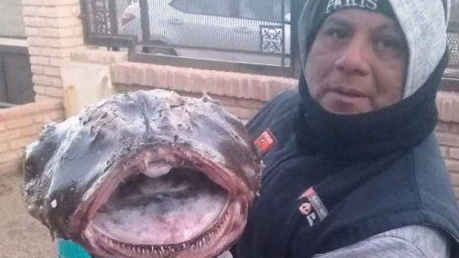 Apareció en Rocas Coloradas un pez con colmillos y antenas