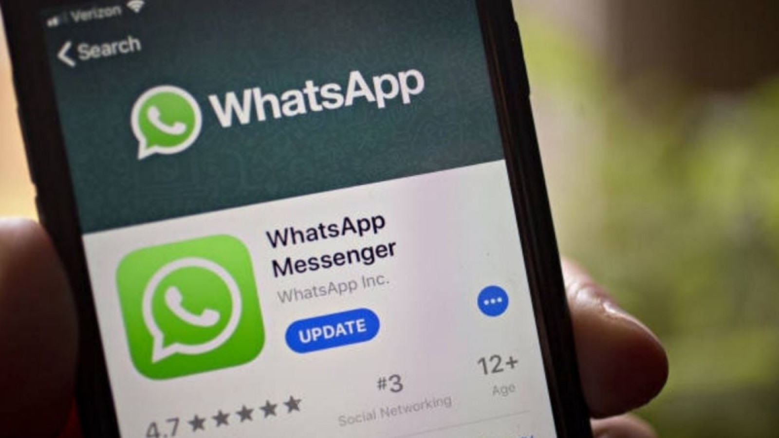 WhatsApp: tiene notificaciones con sonidos de gallo, maullido o el antiguo msn