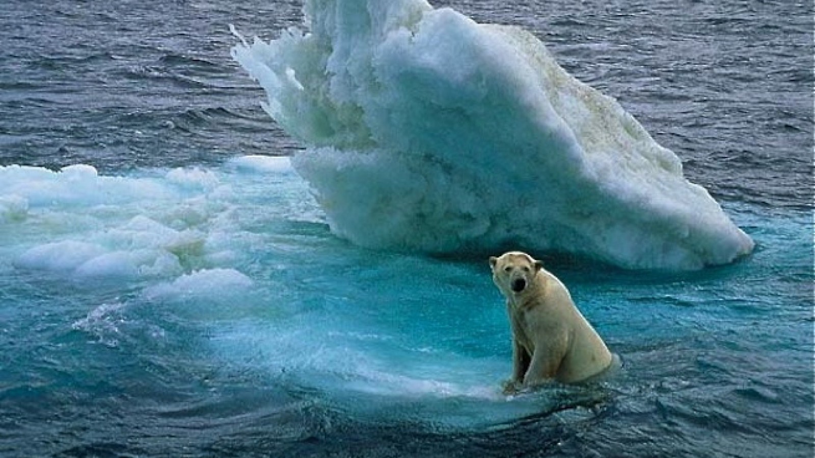 Afirman que el costo económico del calentamiento es seis veces más alto que lo estimado