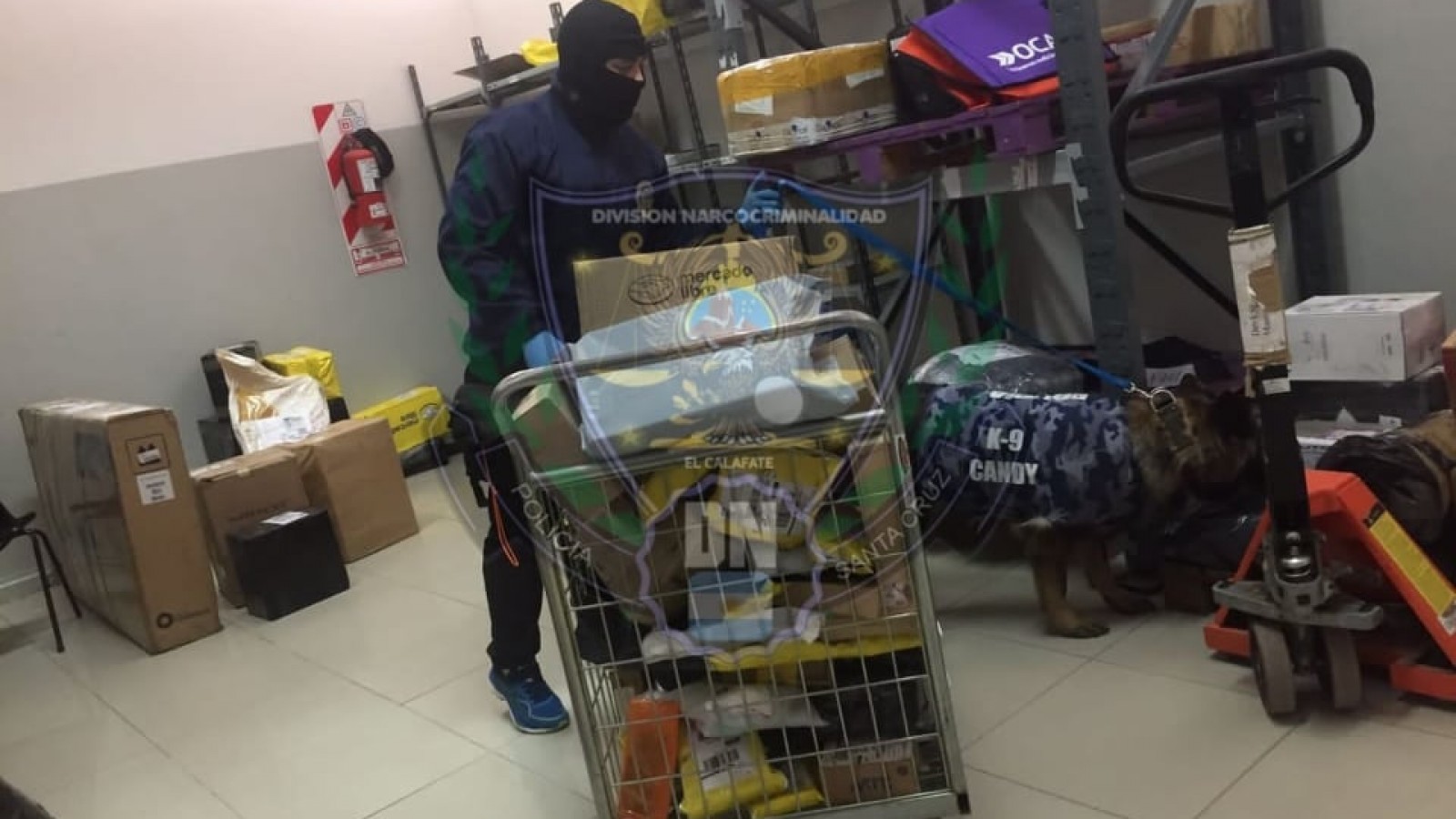 Policía revisó paquetes en búsqueda de drogas