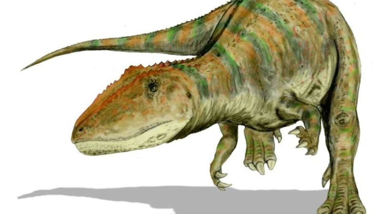 Científicos hallan un dinosaurio que antecedió al Tiranosaurio Rex en el trono de los depredadores