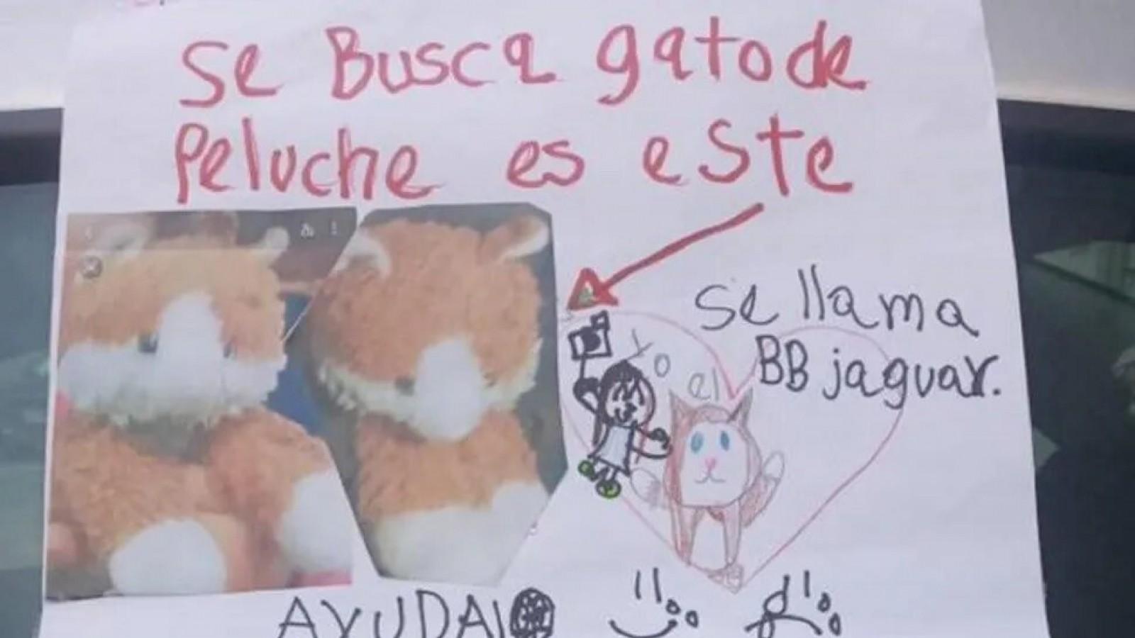 Una nena perdió su gato de peluche, ofreció recompensa y un dulce, el cartel se hizo viral