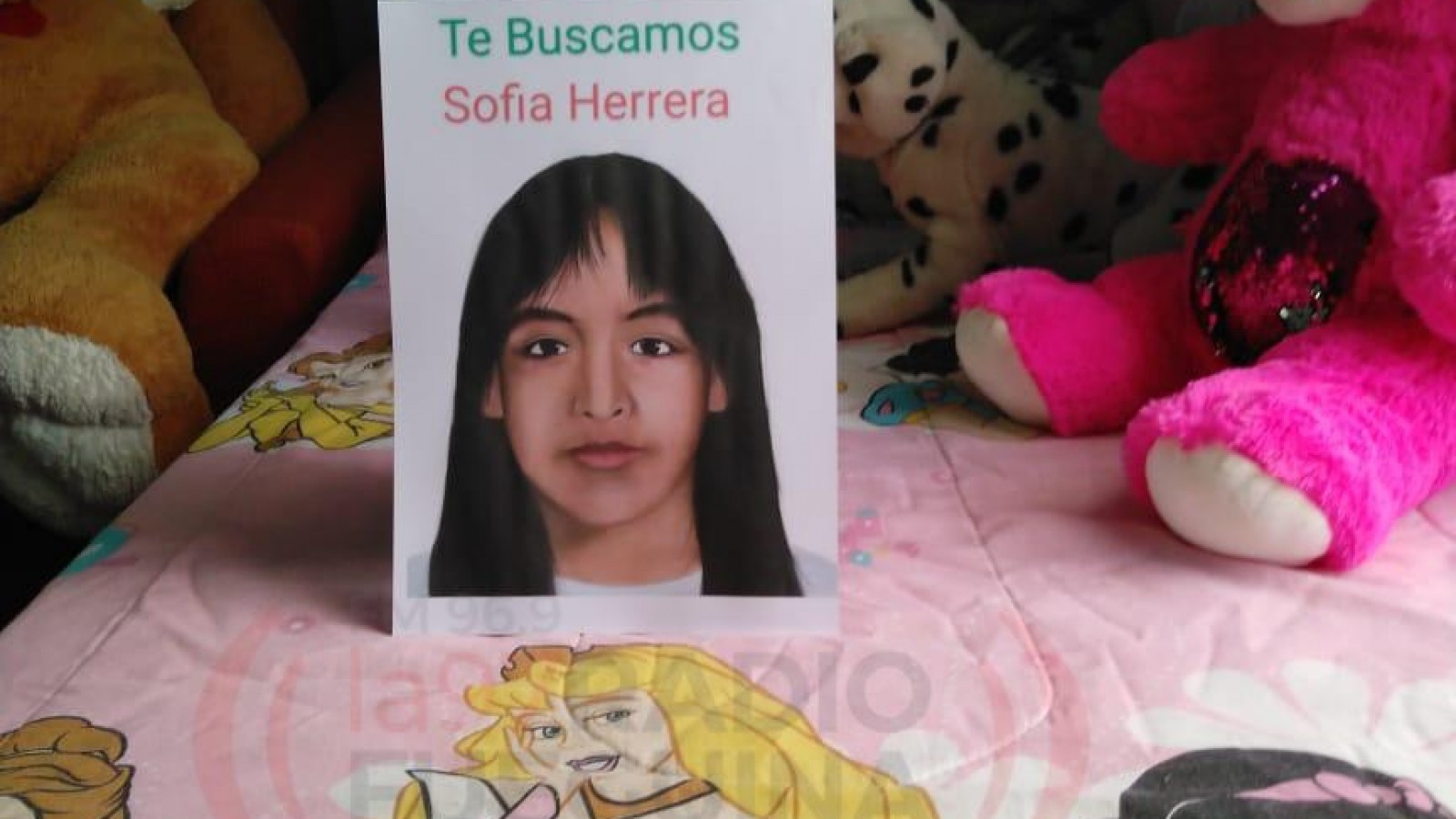 A 13 años de la desaparición de Sofía Herrera