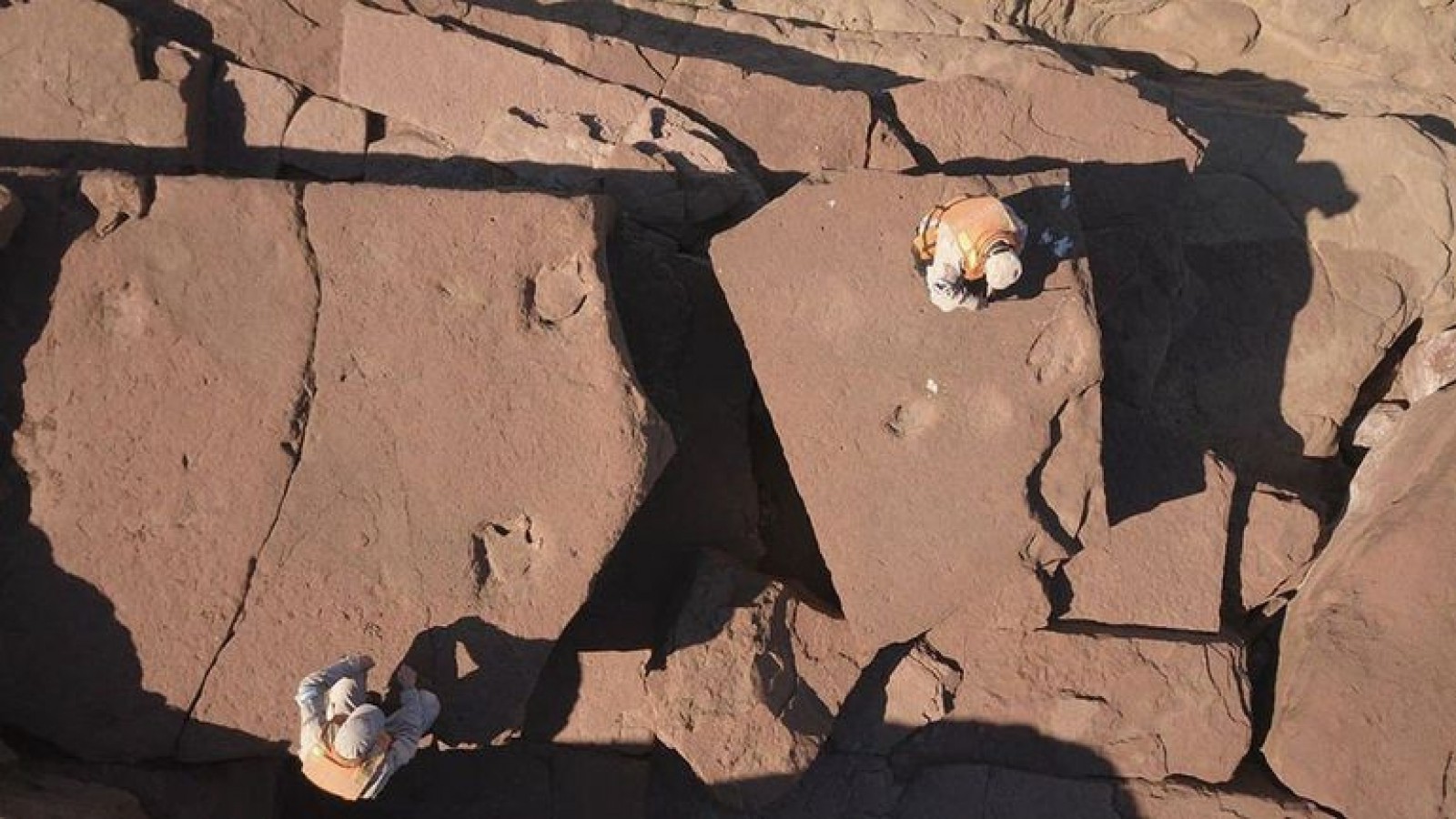 Encontraron huellas de un dinosaurio en la Patagonia