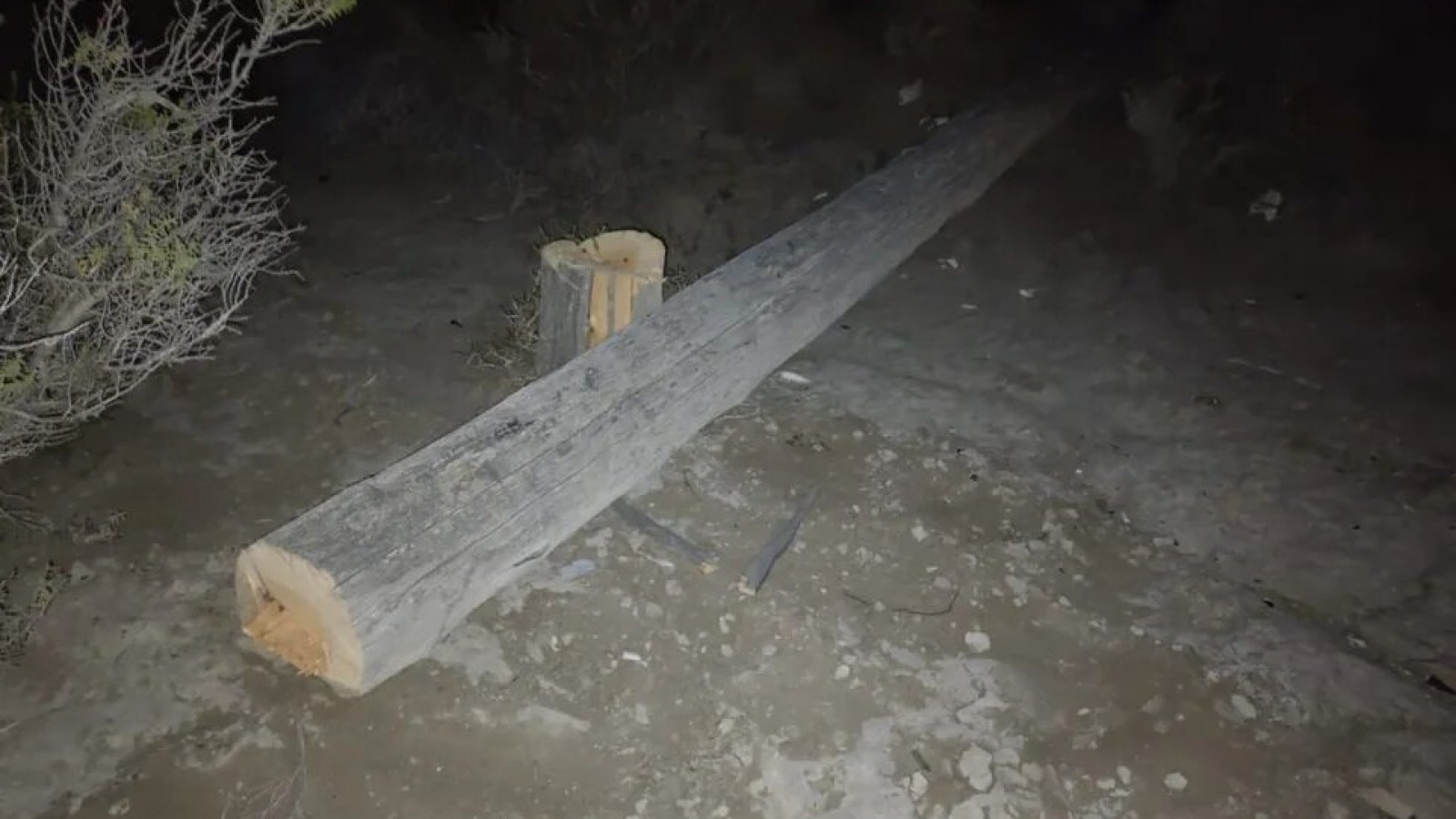 Comodoro Rivadavia: en Km 5 cortaron postes de luz con motosierra para robar cables