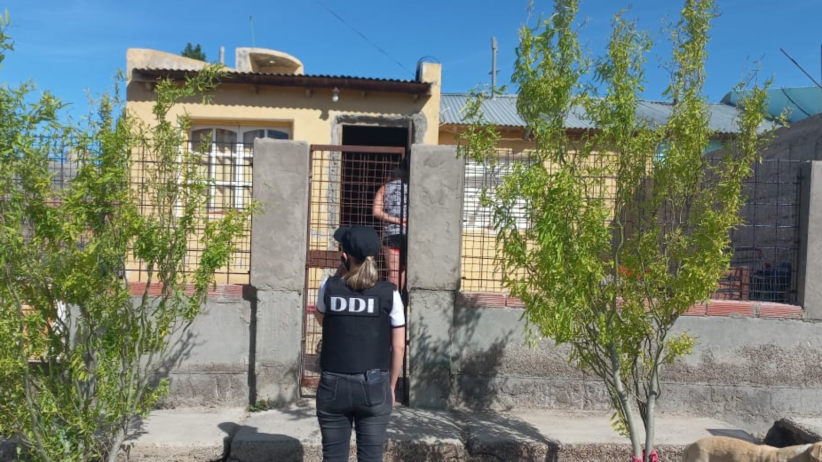 Detienen en Caleta Olivia a un ladrón  que atacó a cuchillazos al comerciante al que robó