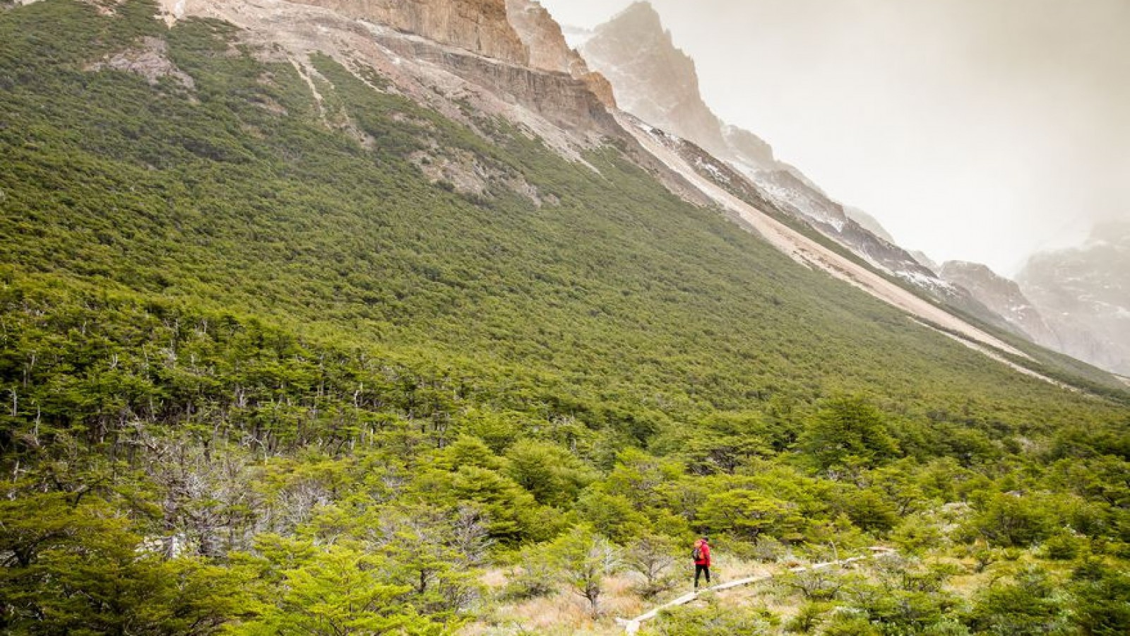 El Chaltén: empresa chilena realiza millonaria inversión en un proyecto hotelero