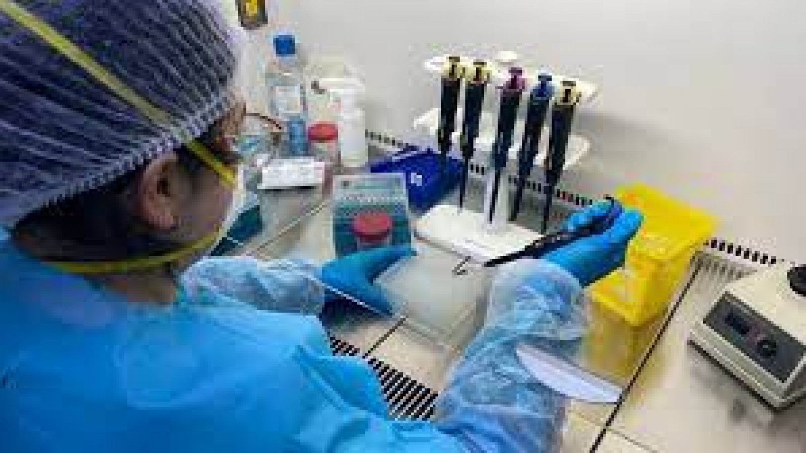 Ya se confirman 40 casos de variante Delta en la región de Magallanes