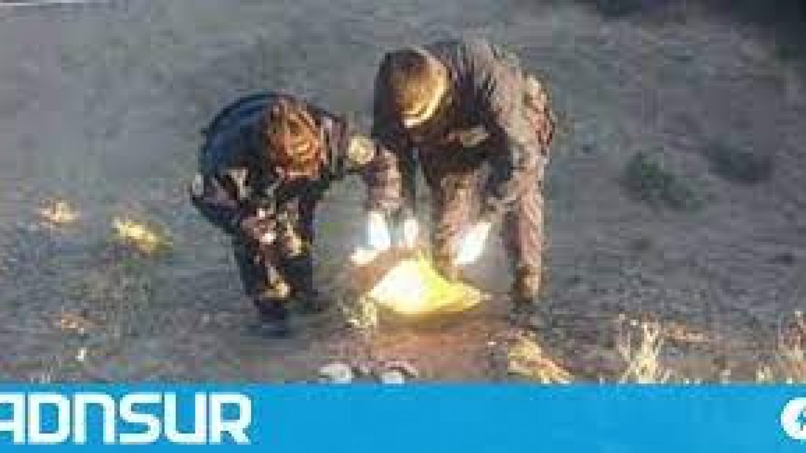 Restos óseos en la Ruta 3: de acuerdo a la policía los huesos datan de al menos un año en el campo