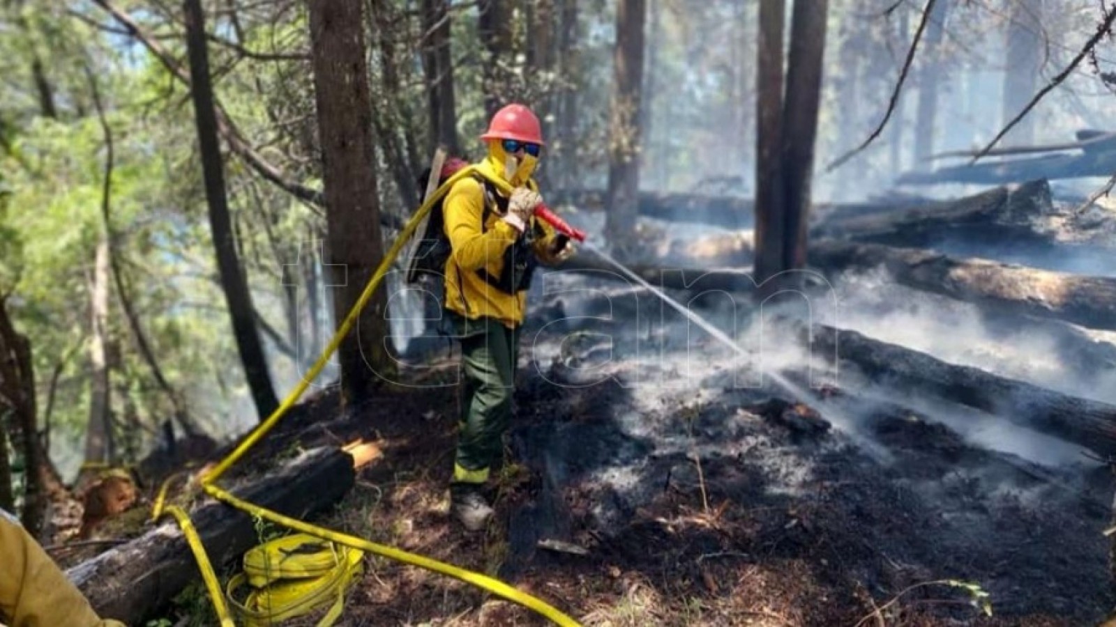 Combaten incendio forestal en cercanías al Lago Steffen de Bariloche