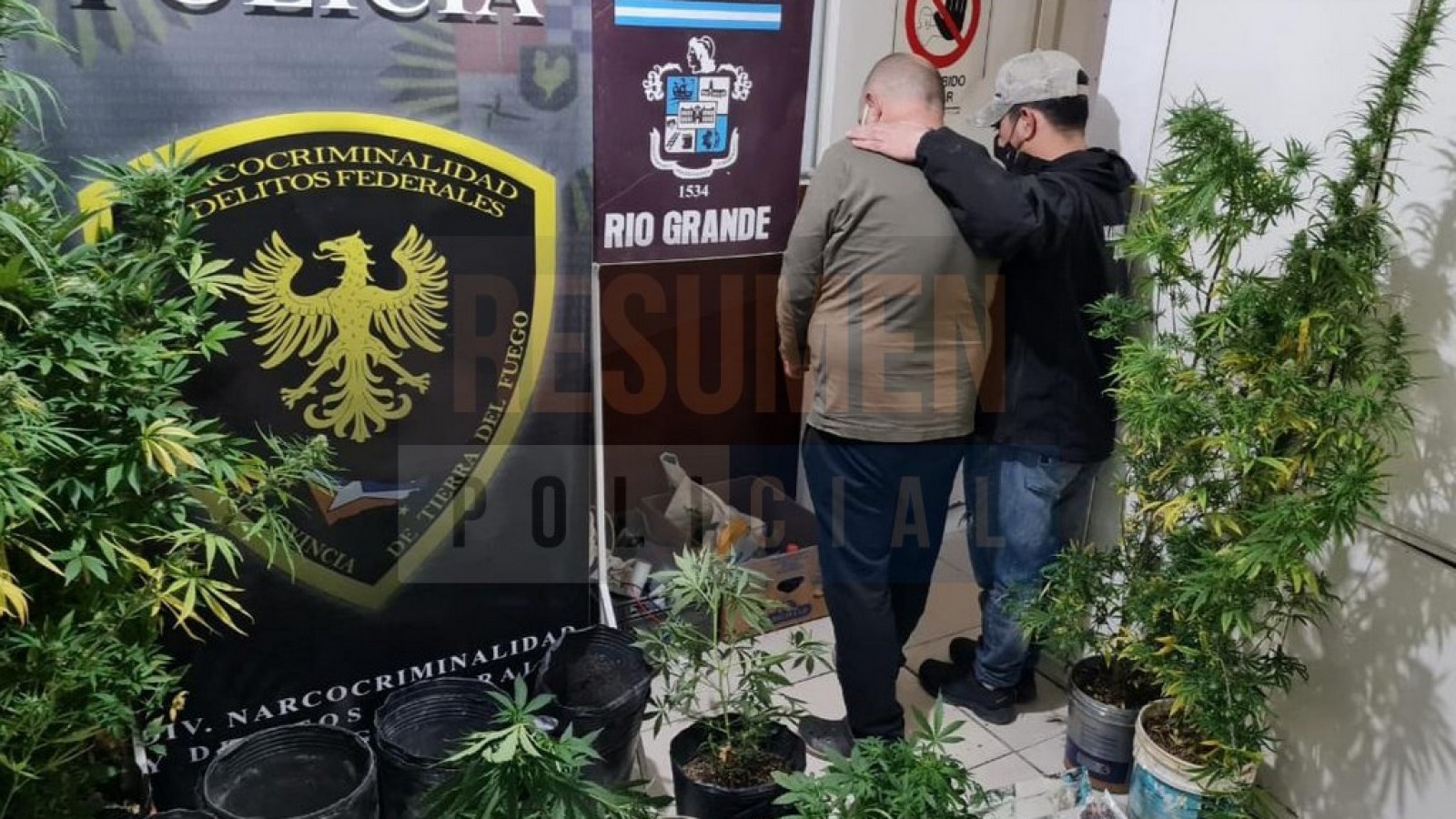 Declararon la nulidad de allanamientos en una causa por drogas y quedaron absueltos dos imputados que poseían viveros canábicos