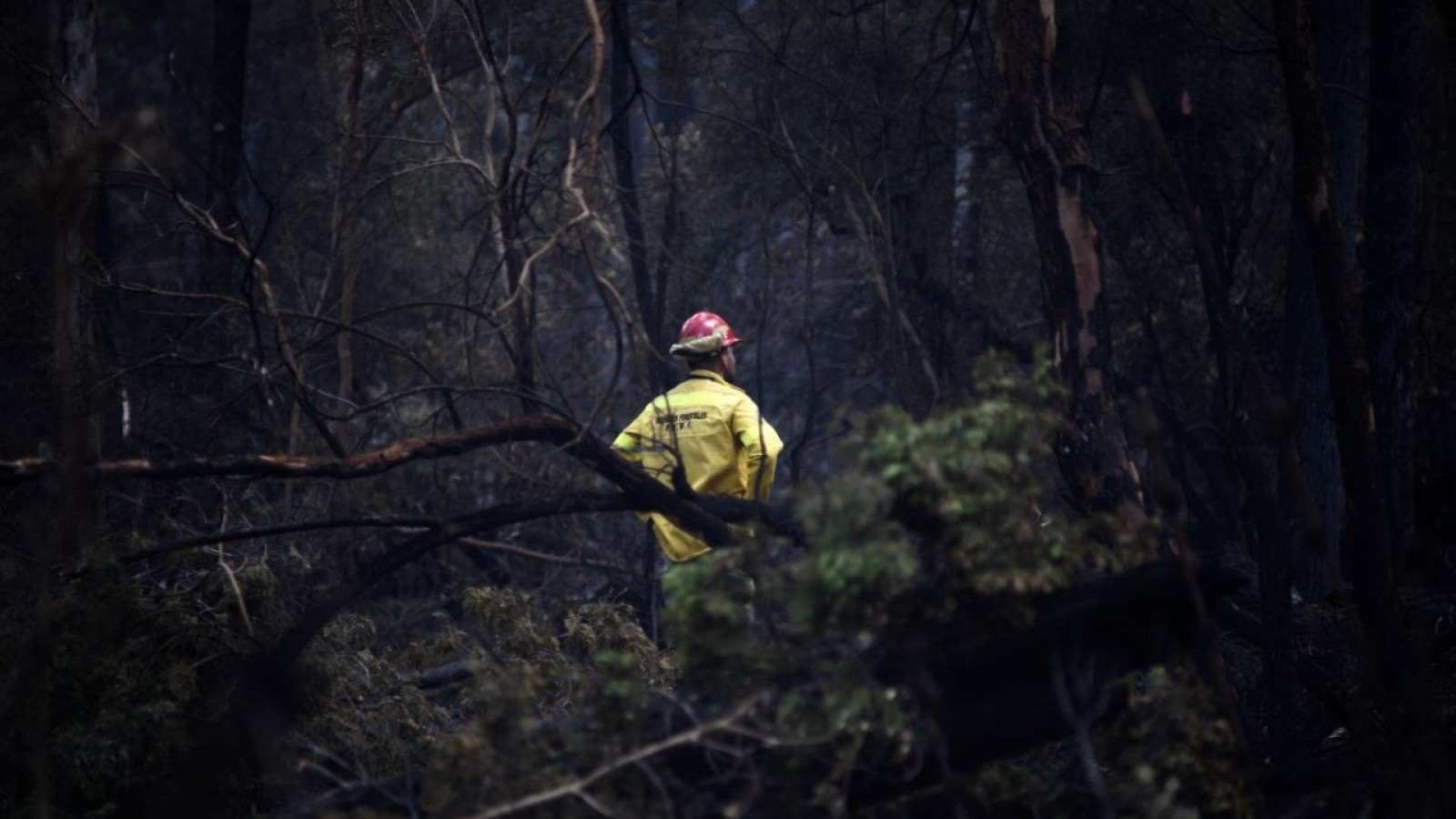 Ya son 82 los combatientes de incendios forestales que buscan apagar el fuego en la zona de Bariloche