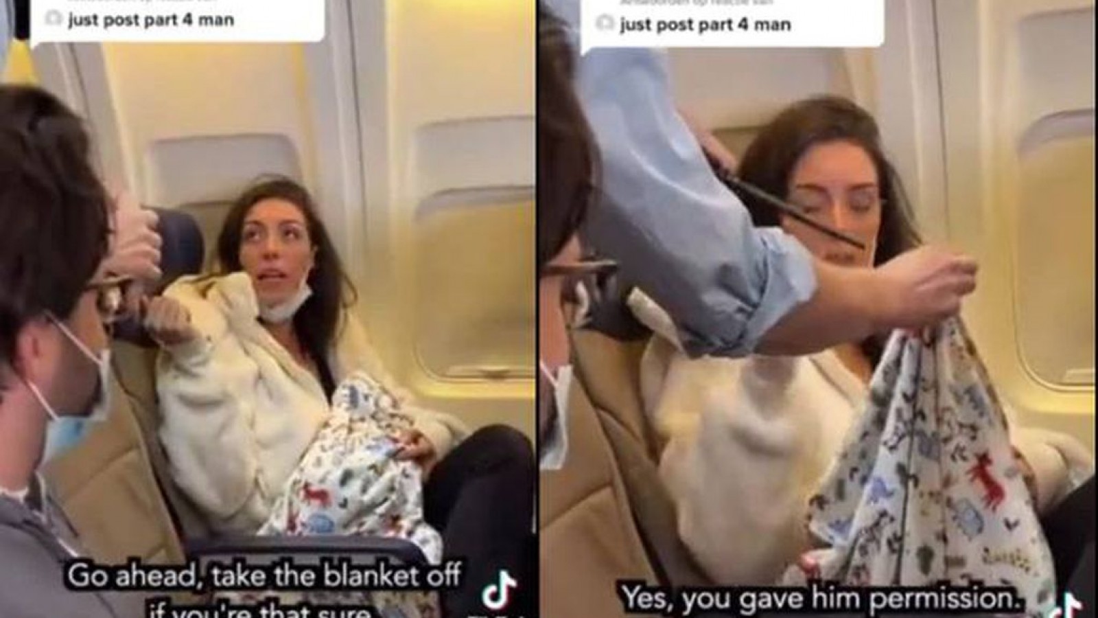 Insólito: una mujer "amamantaba" a un gato embalsamado en pleno vuelo