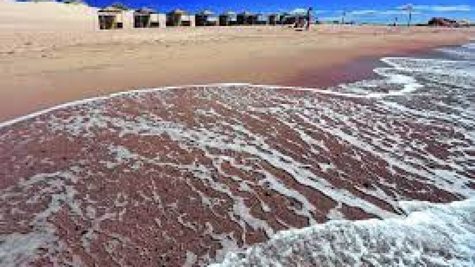 La playa roja de la Patagonia: queda cerca de Las Grutas y guarda misterios de más de 500 millones de años