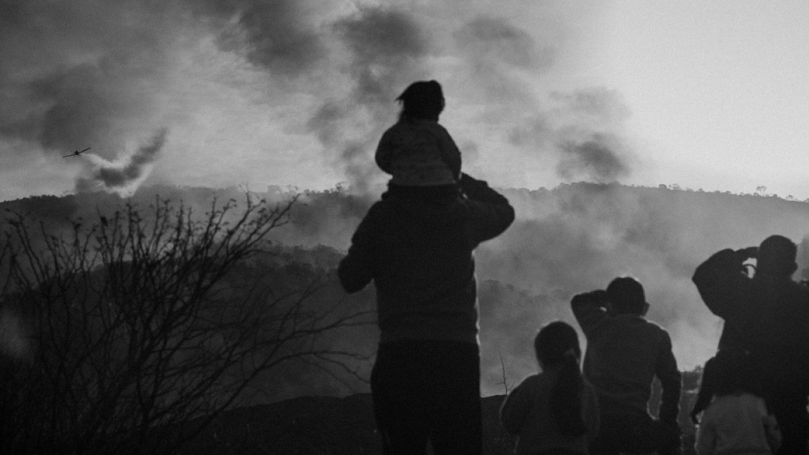 También causa efectos en la salud mental: los incendios forestales causan eco-ansiedad en muchas personas