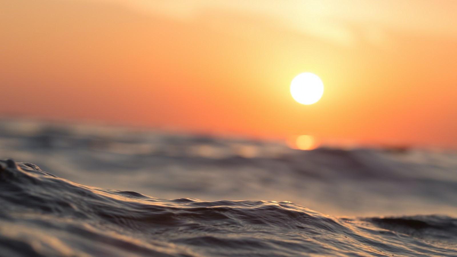 ¿Tiene algún efecto el sol del verano sobre el COVID-19?