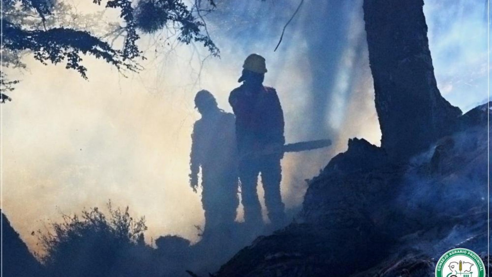 Por hacer unas hamburguesas, ocasionó un incendio forestal