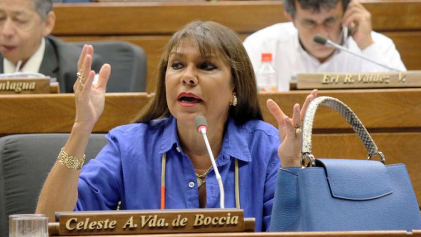 Una diputada opositora dijo que hay dinero narco en todos los partidos paraguayos