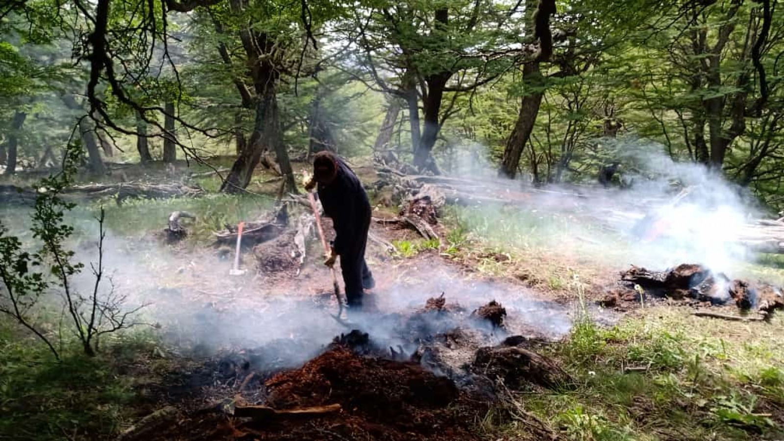 Logran apagar principio de incendio en el Bosque de Duendes de Río Turbio y buscan a los responsables