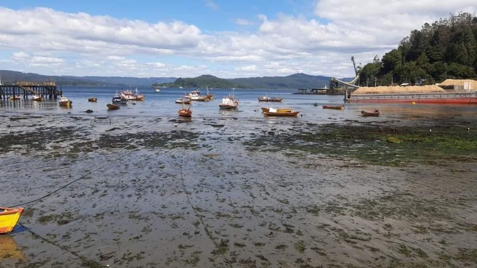 Después del tsunami en Tonga hay alerta en las costas de Chile
