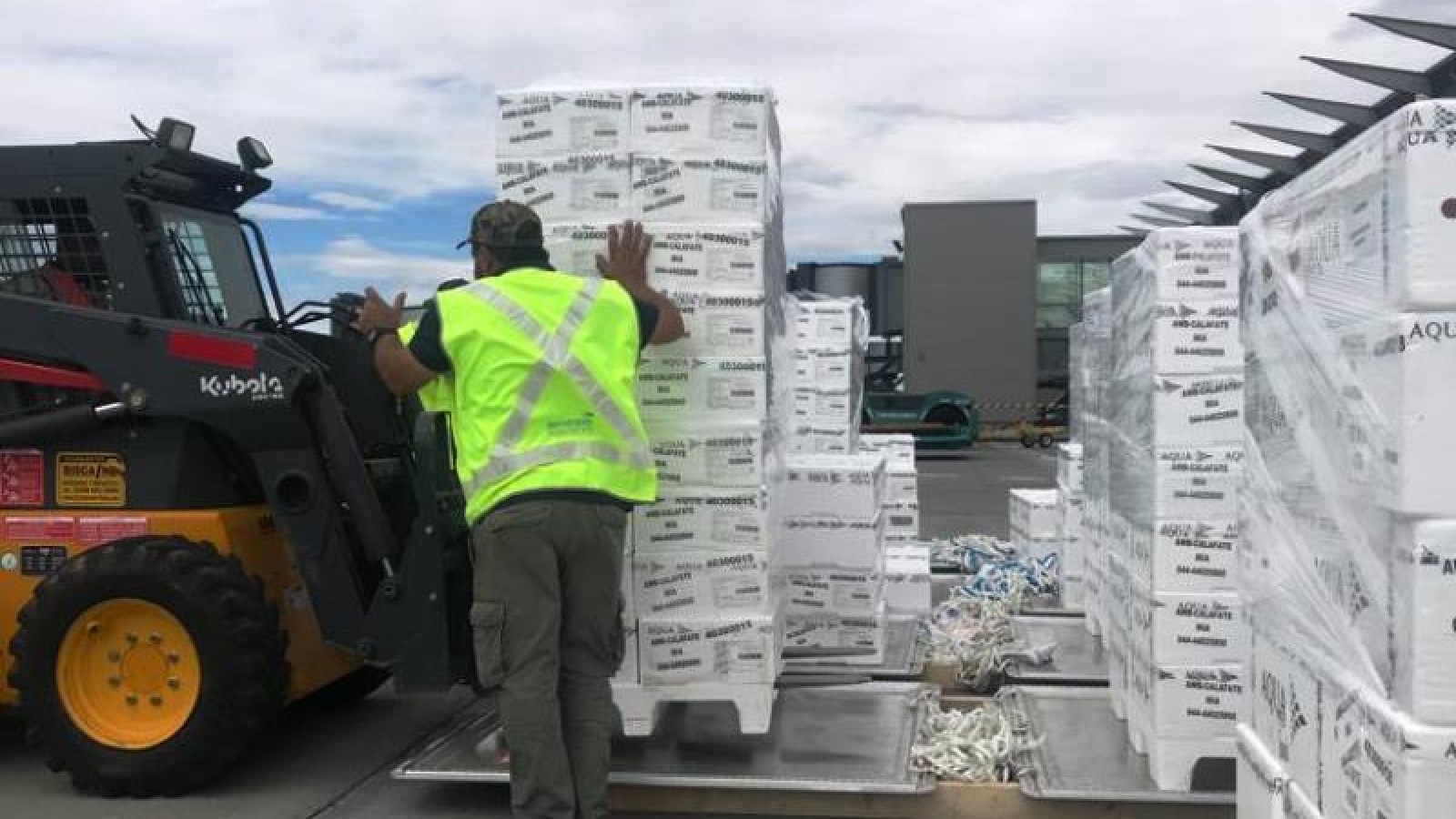 Más de 55.000 kg de salmón chileno ya se exportaron a través del Aeropuerto de El Calafate