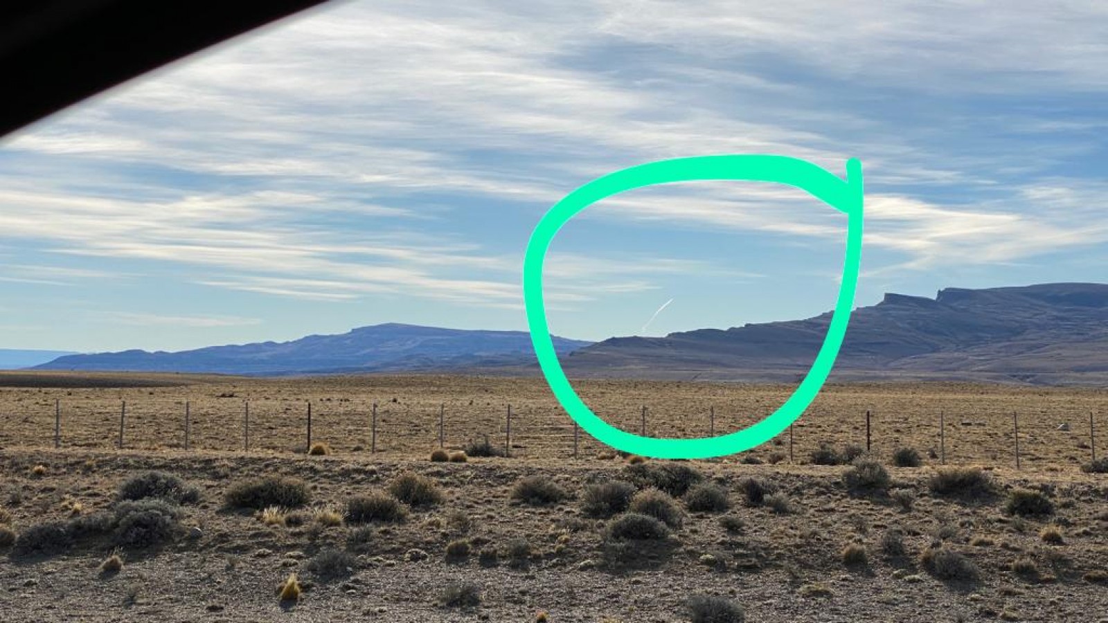 (Foto: Señal Calafate)