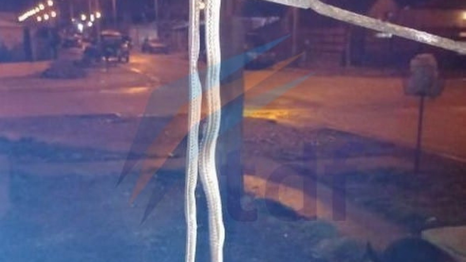 Hallan una serpiente en una calle de Río Grande