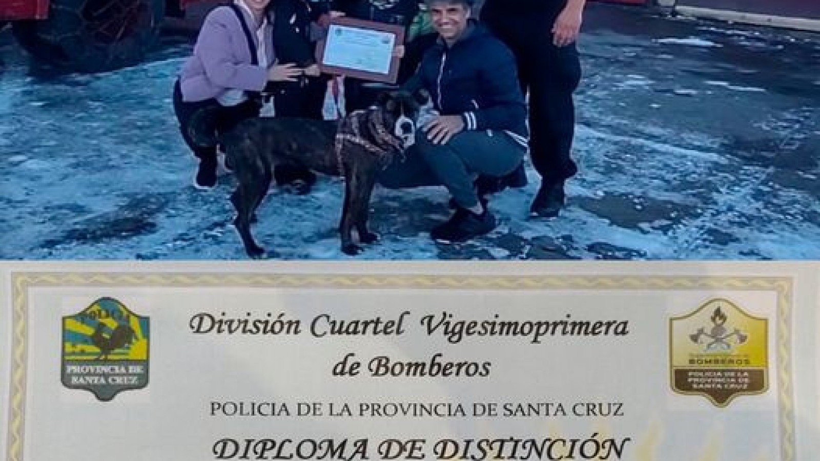 El Calafate: Mía la perra que ayudó a salvar la vida de una caballo recibió su reconocimiento